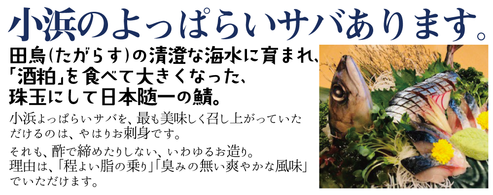 小浜のよっぱらい鯖あります